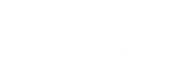 D20 Coasters